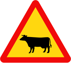 Biển gia súc